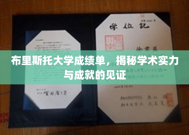 布里斯托大学成绩单，映照学术辉煌的成就证书