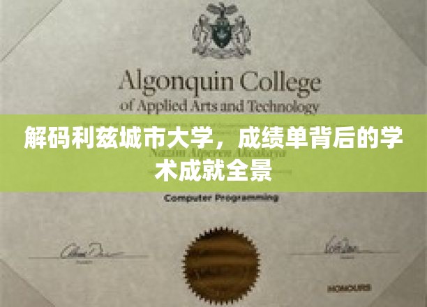 解码利兹城市大学，成绩单背后的学术成就全景