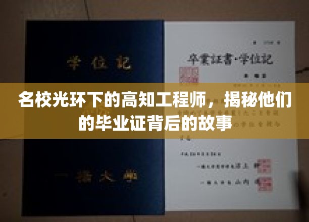 解码高知工程师的荣耀证书，名校光环背后的真实轨迹