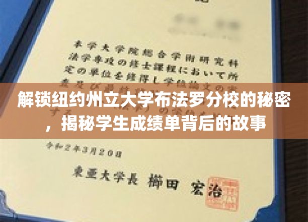 揭开纽约州立大学布法罗分校的神秘面纱，探索学生成绩单背后的故事