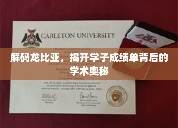 揭开龙比亚学子成绩单的秘密，探索学术成就的深层密码