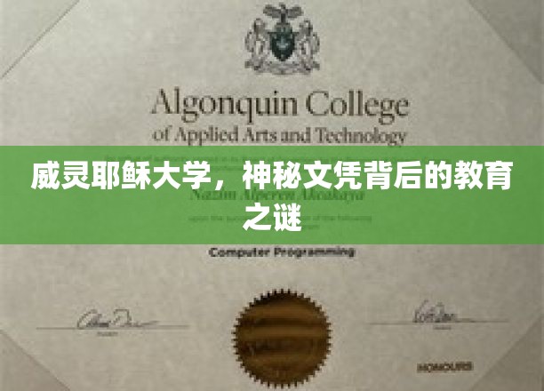 威灵耶稣大学文凭之谜，揭开神秘教育背后的真实面纱