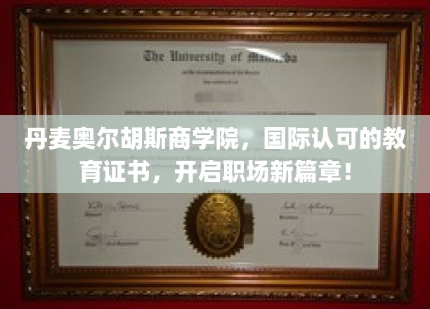 丹麦奥胡斯商学院认证，助你职场飞跃新起点