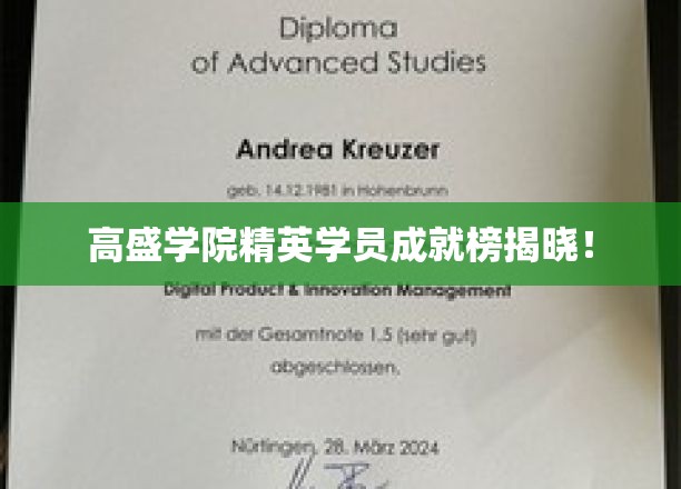 高盛学院精英风采，盘点顶尖学员非凡成就