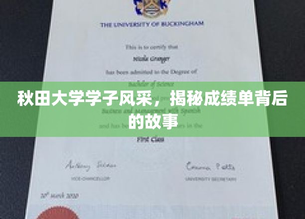 秋田学子风采录，探寻成绩单背后的青春轨迹