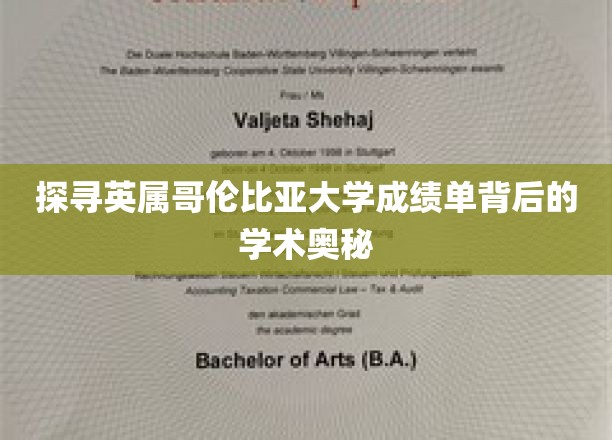 解码英属哥伦比亚大学成绩单，学术卓越的秘密面纱
