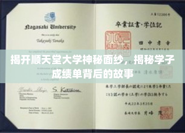 揭开顺天堂大学神秘面纱，探寻学子成绩单背后的故事