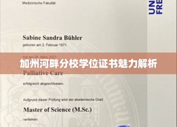 加州河畔分校学位证书，背后的荣耀与故事