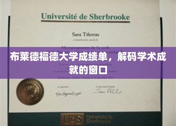 探寻布莱德福德大学成绩单，解码学子学术成就的密码
