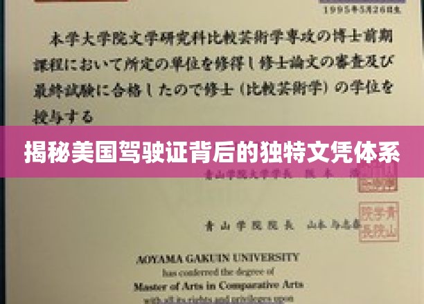 解码美国驾照，揭秘驾照背后的全球认可教育密码