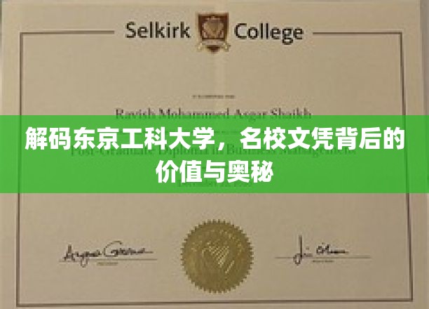 探寻东京工科大学，名校光环下的价值密码