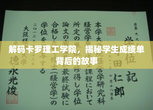揭开卡罗理工学院成绩单背后的秘密世界