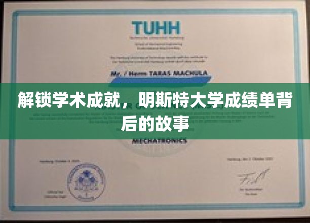 探索学术成就，明斯特大学成绩单背后的故事