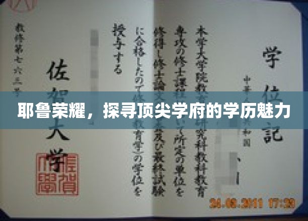 耶鲁荣耀，探寻顶尖学府的学历魅力