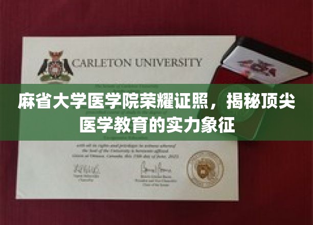 医学精英的荣耀凭证，麻省大学医学院如何铸就顶尖教育品牌