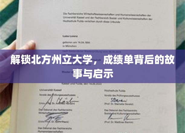 解锁北方州立大学，成绩单背后的故事与启示