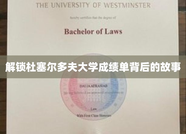 探索杜塞尔多夫大学成绩单背后的故事
