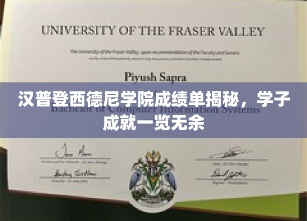 揭秘汉普登西德尼学院精英学子风采，成绩单背后的耀眼成就
