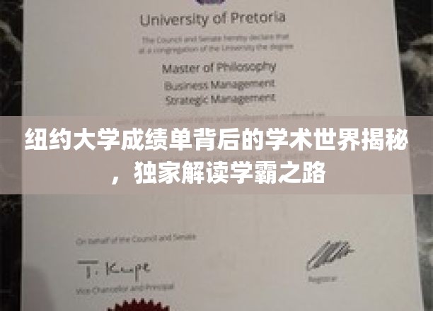 纽约大学成绩单背后的学术世界揭秘，独家解读学霸之路