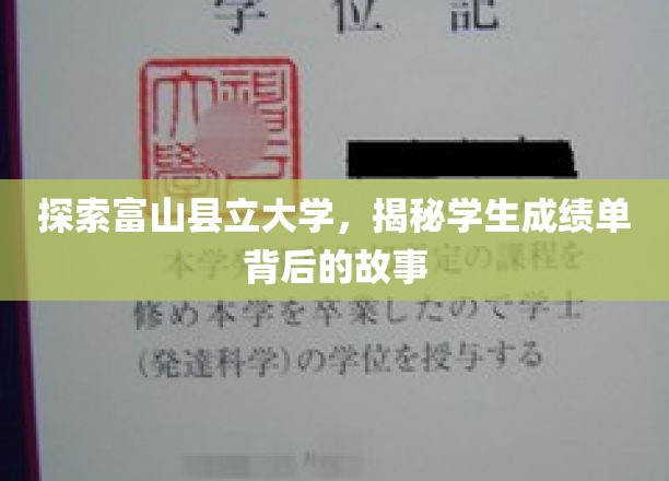 探索富山县立大学，揭秘学生成绩单背后的故事