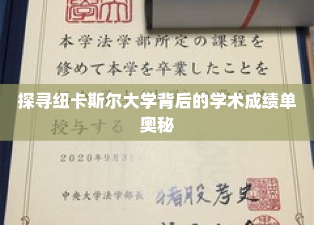 解码纽卡斯尔大学，揭秘其卓越学术成就的秘密