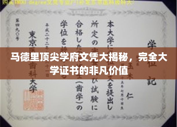 马德里精英学府通行证，揭秘顶尖文凭的非凡魅力