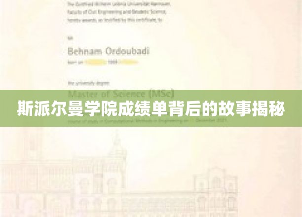 斯派尔曼学院成绩单背后的故事揭秘