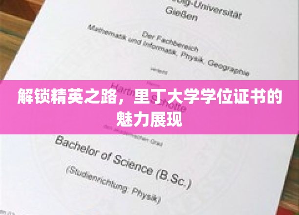 解锁精英之路，里丁大学学位证书的魅力展现