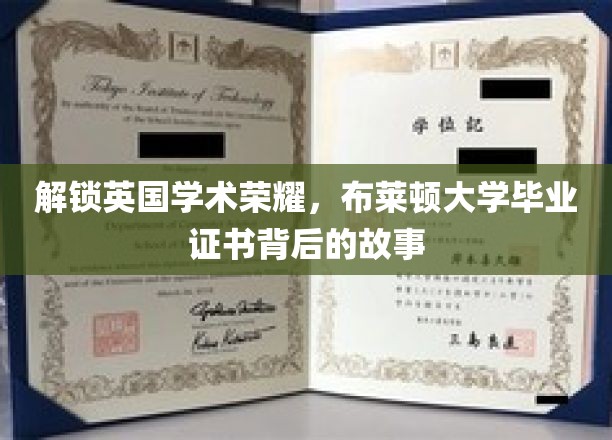 解锁英国学术荣耀，布莱顿大学毕业证书背后的故事