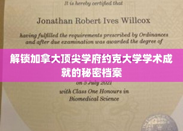 探索约克大学卓越学术奥秘，揭秘顶尖学府的背后故事