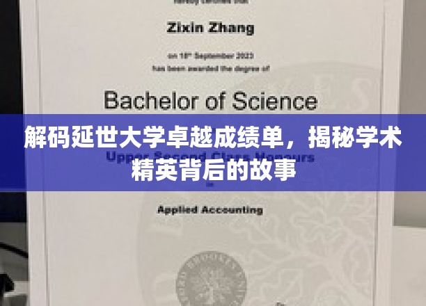 延世大学翘楚揭秘，非凡成绩背后的学术传奇