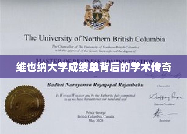 维也纳大学成绩单背后的学术传奇