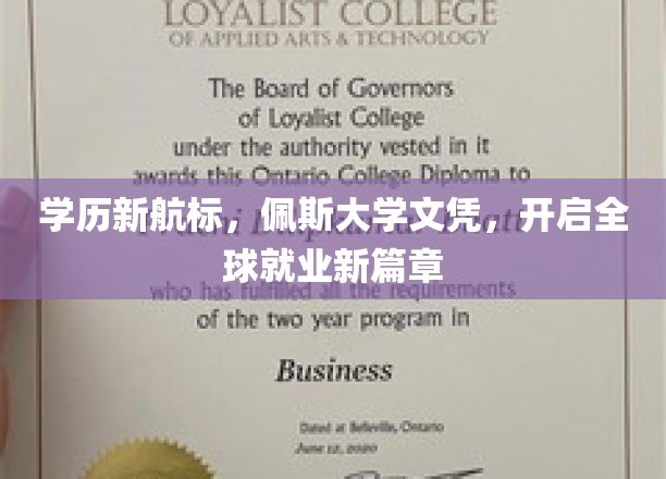 国际职场通行证，佩斯大学学位引领未来就业新纪元