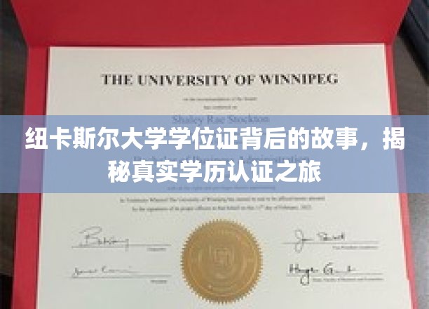 探寻纽大学位证的神秘面纱，一场学历认证的奇妙之旅