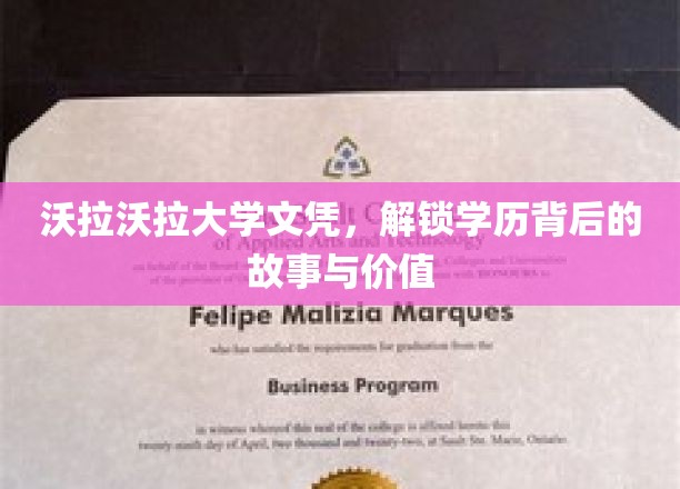 沃拉沃拉文凭揭秘，探寻学历的深层价值与传奇历程