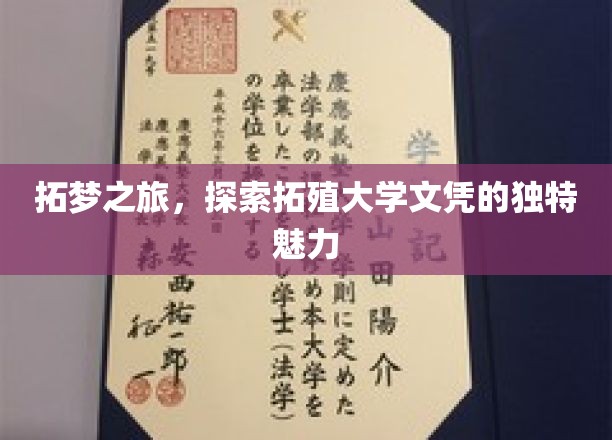 拓梦之旅，探索拓殖大学文凭的独特魅力