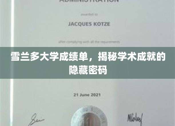雪兰多大学成绩单，揭秘学术成就的隐藏密码