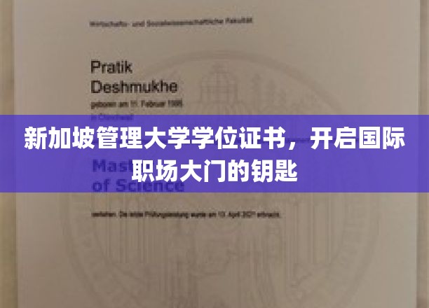 新加坡管理大学文凭，解锁全球职场新机遇