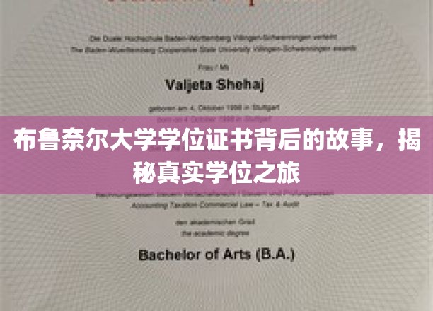 揭开布鲁奈尔大学学位证书背后的传奇旅程
