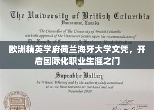荷兰海牙大学荣耀文凭，助你迈向全球职场巅峰