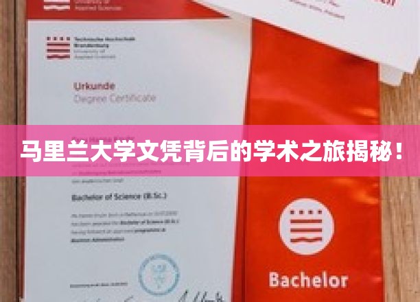 马里兰大学文凭背后的学术之旅揭秘！