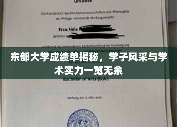 东部大学学霸风云录，揭秘学子风采与卓越学术实力