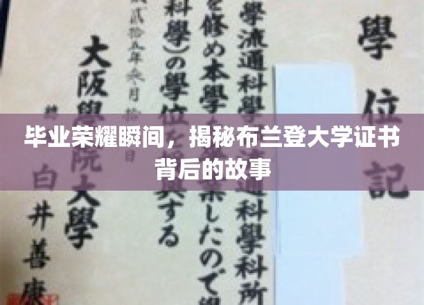 布兰登大学荣耀见证，揭秘毕业证书背后的青春足迹