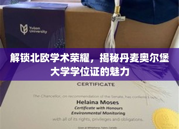 探寻丹麦奥尔堡大学学位证的北欧学术风采