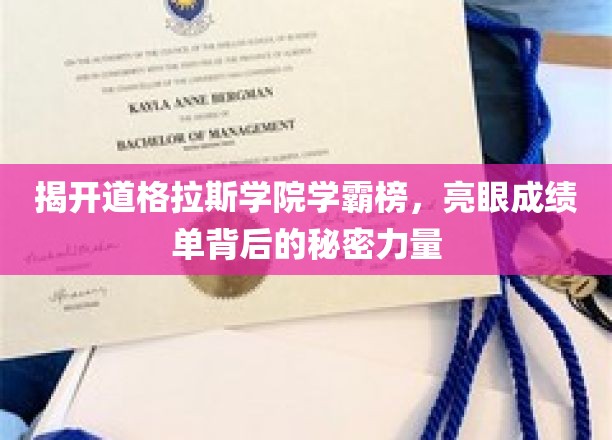 揭秘道格拉斯学院学霸榜，探究亮眼成绩单背后的强大支撑