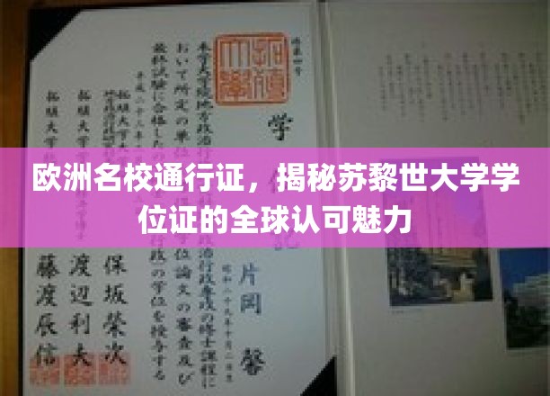 跨国学历通行证，苏黎世大学学位证如何征服全球职场