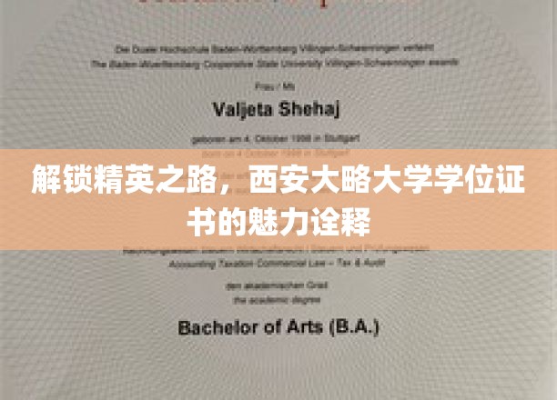 学位荣耀之旅，探寻西安大略大学证书的精英价值与风采