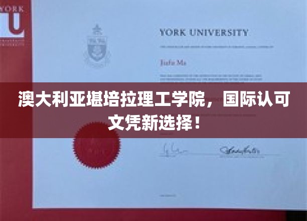 全球通行证，堪培拉理工学院助你开启国际职场之旅