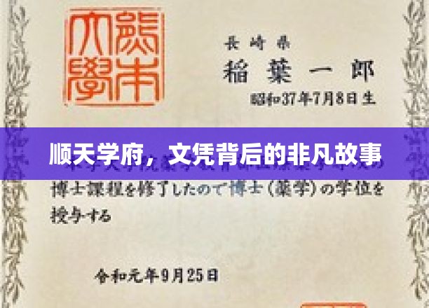 顺天学府，文凭背后的非凡历程