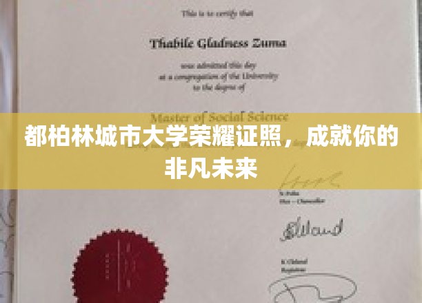 都柏林城市大学荣耀证书，成就你的非凡未来